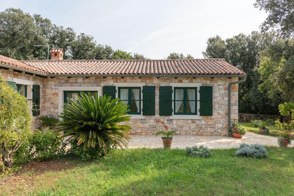 Villa My Vladan